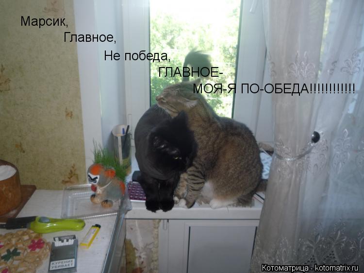 Марсик, Главное, Не победа, ГЛАВНОЕ- МОЯ-Я ПО-ОБЕДА!!!!!!!!!!!!... Котоматрица: Марсик, Главное, Не победа, ГЛАВНОЕ- МОЯ-Я ПО-ОБЕДА!!!!!!!!!!!!