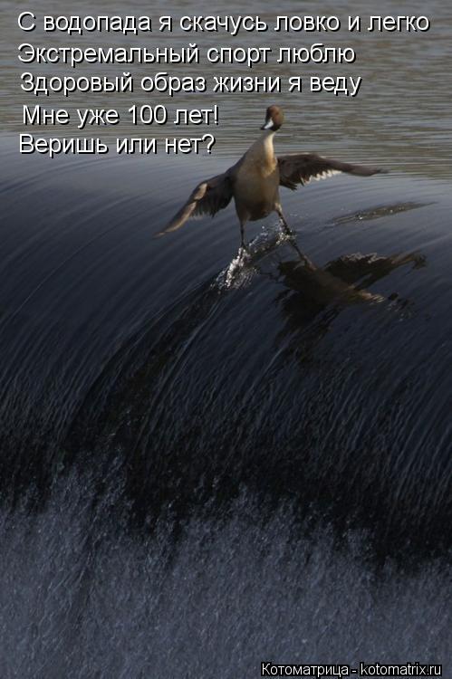С водопада я скачусь ловко и легко Экстремальный спорт люблю Здоровый образ жизни я веду Мне уже 100 ... Котоматрица: С водопада я скачусь ловко и легко Экстремальный спорт люблю Здоровый образ жизни я веду Мне уже 100 лет! Веришь или нет?