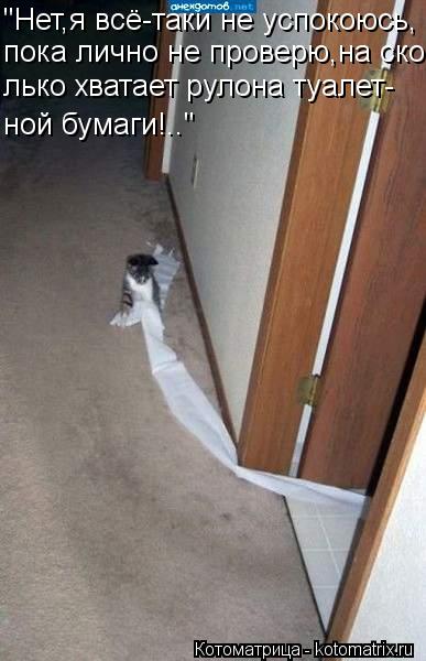 "Нет,я всё-таки не успокоюсь, пока лично не проверю,на ско- лько хватает рулона туалет- ной бумаги!..... Котоматрица: "Нет,я всё-таки не успокоюсь, пока лично не проверю,на ско- лько хватает рулона туалет- ной бумаги!.."