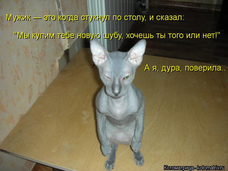 "Мы купим тебе новую шубу, хочешь ты того или нет!" Мужик — это когда стукнул по столу, и сказал: А ... Котоматрица: "Мы купим тебе новую шубу, хочешь ты того или нет!" Мужик — это когда стукнул по столу, и сказал: А я, дура, поверила..