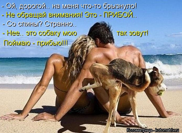 - Ой, дорогой.. на меня что-то брызнуло! - Не обращай внимания! Это - ПРИБОЙ.. - Со спины? Странно.. ... Котоматрица: - Ой, дорогой.. на меня что-то брызнуло! - Не обращай внимания! Это - ПРИБОЙ.. - Со спины? Странно.. - Нее.. это собаку мою так зовут! Пойма