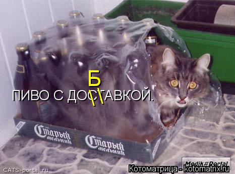ПИВО С ДОСТАВКОЙ. \ \ Б... Котоматрица: ПИВО С ДОСТАВКОЙ. \ \ Б