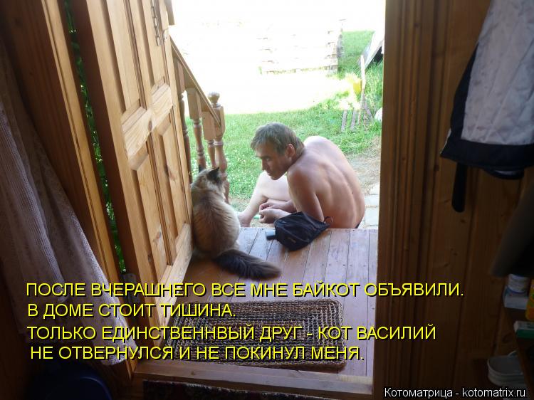 ПОСЛЕ ВЧЕРАШНЕГО ВСЕ МНЕ БАЙКОТ ОБЪЯВИЛИ. В ДОМЕ СТОИТ ТИШИНА. ТОЛЬКО ЕДИНСТВЕННВЫЙ ДРУГ - КОТ ВАСИЛИ... Котоматрица: ПОСЛЕ ВЧЕРАШНЕГО ВСЕ МНЕ БАЙКОТ ОБЪЯВИЛИ. В ДОМЕ СТОИТ ТИШИНА. ТОЛЬКО ЕДИНСТВЕННВЫЙ ДРУГ - КОТ ВАСИЛИЙ НЕ ОТВЕРНУЛСЯ И НЕ ПОКИНУЛ МЕНЯ.