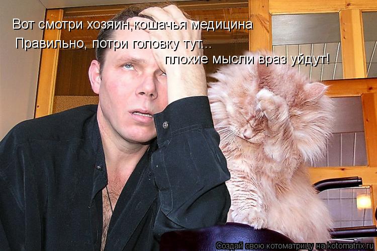 Вот смотри хозяин,кошачья медицина Правильно, потри головку тут... плохие мысли враз уйдут!... Котоматрица: Вот смотри хозяин,кошачья медицина Правильно, потри головку тут... плохие мысли враз уйдут!