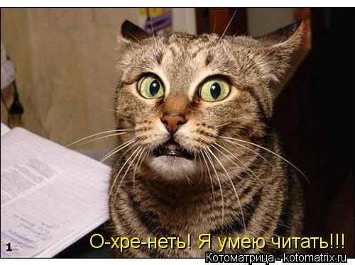 О-хре-неть! Я умею читать!!!... Котоматрица: О-хре-неть! Я умею читать!!!