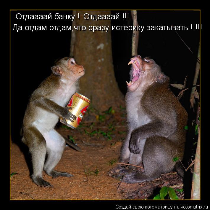 Отдаааай банку ! Отдаааай !!! Да отдам отдам,что сразу истерику закатывать ! !!!... Котоматрица: Отдаааай банку ! Отдаааай !!! Да отдам отдам,что сразу истерику закатывать ! !!!