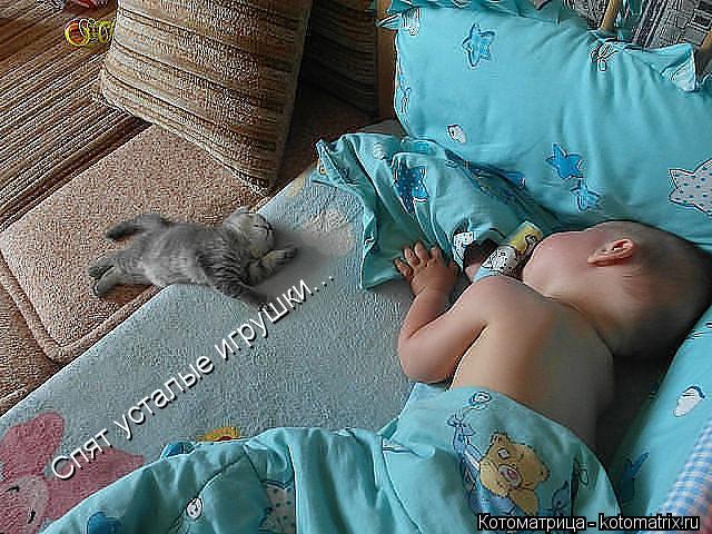 Спят усталые игрушки...... Котоматрица: Спят усталые игрушки...