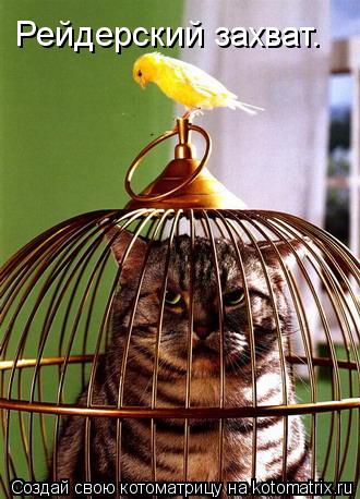 Рейдерский захват.... Котоматрица: Рейдерский захват.