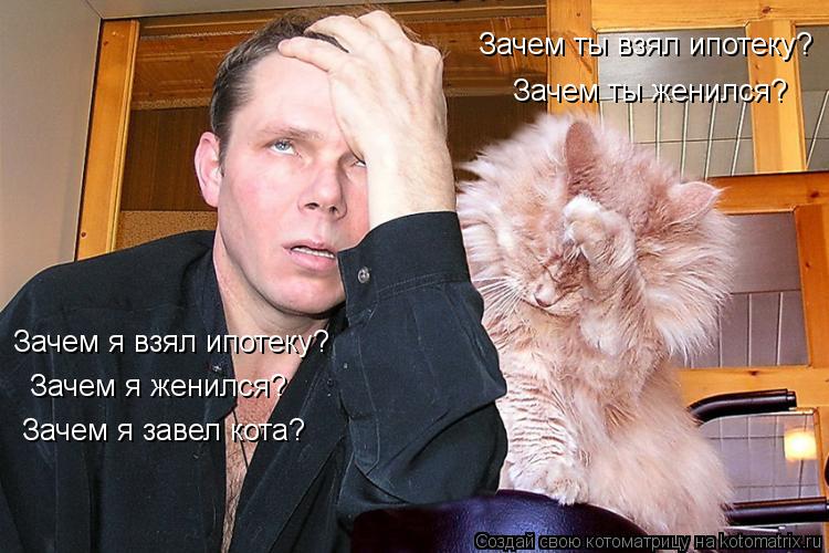 Зачем я взял ипотеку? Зачем ты взял ипотеку? Зачем я женился? Зачем ты женился? Зачем я завел кота?... Котоматрица: Зачем я взял ипотеку? Зачем ты взял ипотеку? Зачем я женился? Зачем ты женился? Зачем я завел кота?