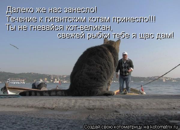 Далеко же нас занесло! Течение к гигантским котам принесло!!! Ты не гневайся кот-великан, свежей рыбк... Котоматрица: Далеко же нас занесло! Течение к гигантским котам принесло!!! Ты не гневайся кот-великан, свежей рыбки тебе я щас дам!