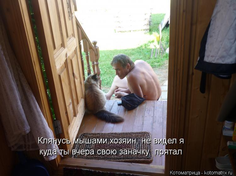 Клянусь мышами,хозяин, не видел я куда ты вчера свою заначку прятал... Котоматрица: Клянусь мышами,хозяин, не видел я куда ты вчера свою заначку прятал