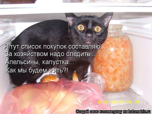 Я тут список покупок составляю... За хозяйством надо следить... Апельсины, капустка... Как мы будем ж... Котоматрица: Я тут список покупок составляю... За хозяйством надо следить... Апельсины, капустка... Как мы будем жить?!