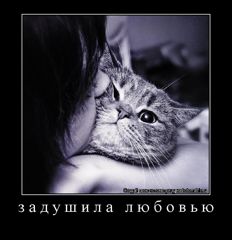 задушила любовью ... Котоматрица: задушила любовью