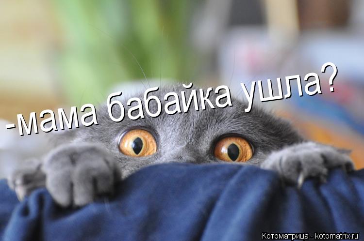 -мама бабайка ушла?... Котоматрица: -мама бабайка ушла?