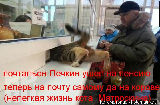 почтальон Печкин ушел на пенсию теперь на почту самому да на корове (нелегкая жизнь кота Матроскина)... Котоматрица: почтальон Печкин ушел на пенсию теперь на почту самому да на корове (нелегкая жизнь кота Матроскина)