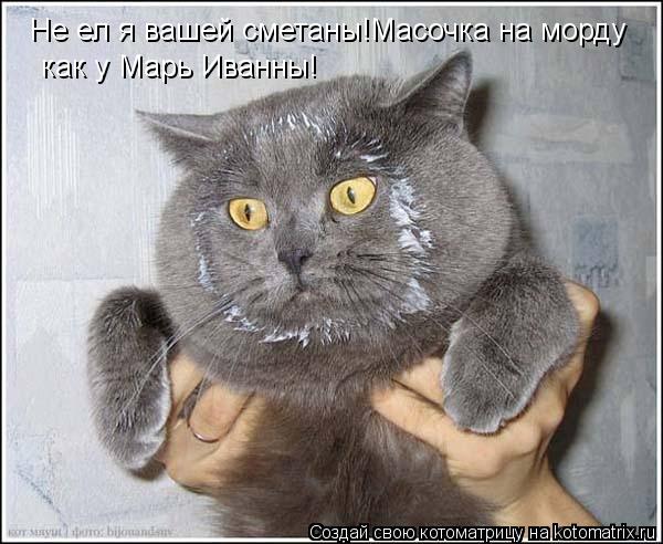 Не ел я вашей сметаны!Масочка на морду как у Марь Иванны!... Котоматрица: Не ел я вашей сметаны!Масочка на морду как у Марь Иванны!