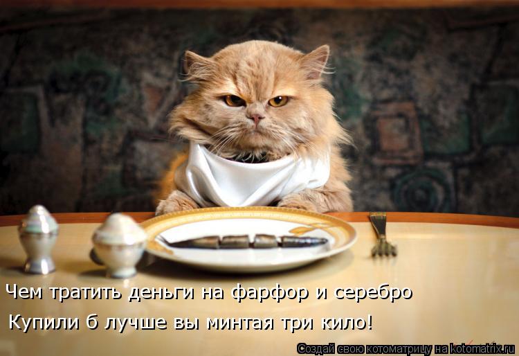 Котоматрица: Купили б лучше вы минтая три кило! Чем тратить деньги на фарфор и серебро