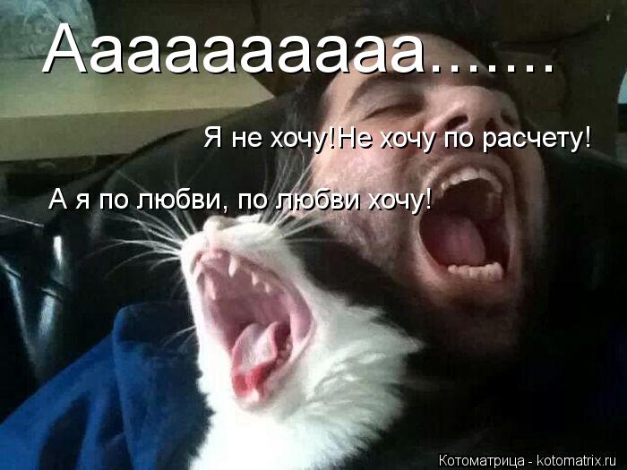 Аааааааааа....... Я не хочу!Не хочу по расчету! А я по любви, по любви хочу!... Котоматрица: Аааааааааа....... Я не хочу!Не хочу по расчету! А я по любви, по любви хочу!