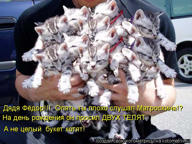 Дядя Фёдор!!! Опять ты плохо слушал Матроскина!? На день рождения он просил ДВУХ ТЕЛЯТ А не целый б... Котоматрица: Дядя Фёдор!!! Опять ты плохо слушал Матроскина!? На день рождения он просил ДВУХ ТЕЛЯТ А не целый букет котят!
