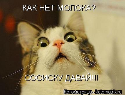 КАК НЕТ МОЛОКА? СОСИСКУ ДАВАЙ!!!... Котоматрица: КАК НЕТ МОЛОКА? СОСИСКУ ДАВАЙ!!!