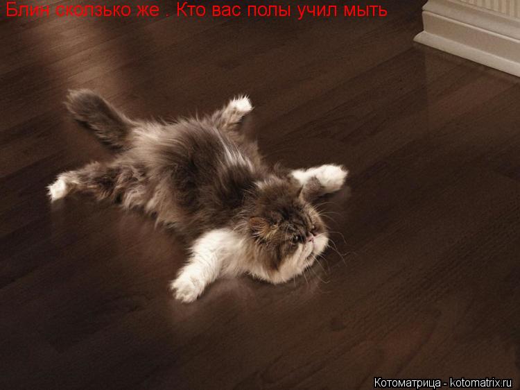 Блин сколзько же . Кто вас полы учил мыть... Котоматрица: Блин сколзько же . Кто вас полы учил мыть