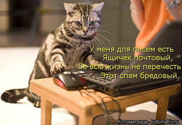 У меня для писем есть Ящичек почтовый, За всю жизнь не перечесть Этот спам бредовый.... Котоматрица: У меня для писем есть Ящичек почтовый, За всю жизнь не перечесть Этот спам бредовый.