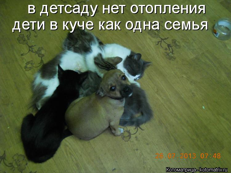в детсаду нет отопления дети в куче как одна семья... Котоматрица: в детсаду нет отопления дети в куче как одна семья