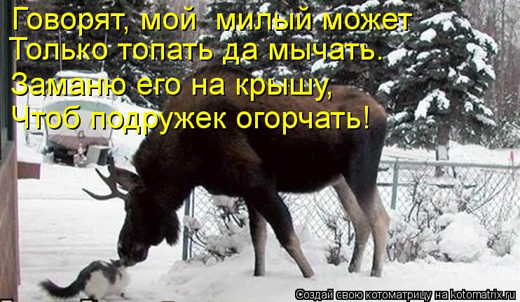 Говорят, мой милый может Только топать да мычать. Заманю его на крышу, Чтоб подружек огорчать!... Котоматрица: Говорят, мой милый может Только топать да мычать. Заманю его на крышу, Чтоб подружек огорчать!