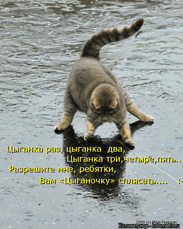 Цыганка раз, цыганка два, Цыганка три,четыре,пять... Разрешите мне, ребятки, Вам «Цыганочку» спляса... Котоматрица: Цыганка раз, цыганка два, Цыганка три,четыре,пять... Разрешите мне, ребятки, Вам «Цыганочку» сплясать.... :-)