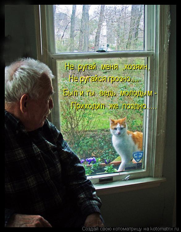 Не ругай меня ,хозяин, Не ругайся грозно.... Был и ты ведь молодым - Приходил же поздно..... Котоматрица: Не ругай меня ,хозяин, Не ругайся грозно.... Был и ты ведь молодым - Приходил же поздно.....