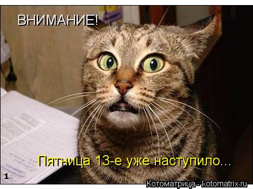 ВНИМАНИЕ! Пятница 13-е уже наступило...... Котоматрица: ВНИМАНИЕ! Пятница 13-е уже наступило...