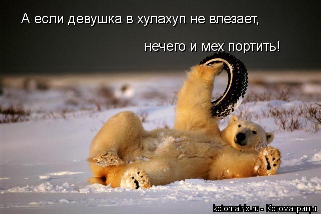 А если девушка в хулахуп не влезает, нечего и мех портить!... Котоматрица: А если девушка в хулахуп не влезает, нечего и мех портить!