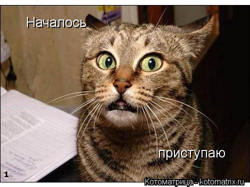 Началось приступаю... Котоматрица: Началось приступаю