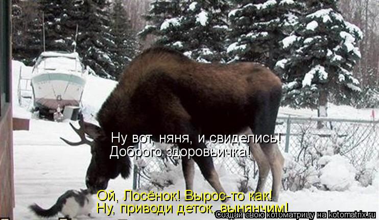 Ну вот, няня, и свиделись! Доброго здоровьичка! Ой, Лосёнок! Вырос-то как! Ну, приводи деток, вынянч... Котоматрица: Ну вот, няня, и свиделись! Доброго здоровьичка! Ой, Лосёнок! Вырос-то как! Ну, приводи деток, вынянчим!