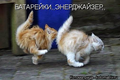 БАТАРЕЙКИ,,ЭНЕРДЖАЙЗЕР,,... Котоматрица: БАТАРЕЙКИ,,ЭНЕРДЖАЙЗЕР,,