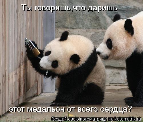 Ты говоришь,что даришь этот медальон от всего сердца?... Котоматрица: Ты говоришь,что даришь этот медальон от всего сердца?