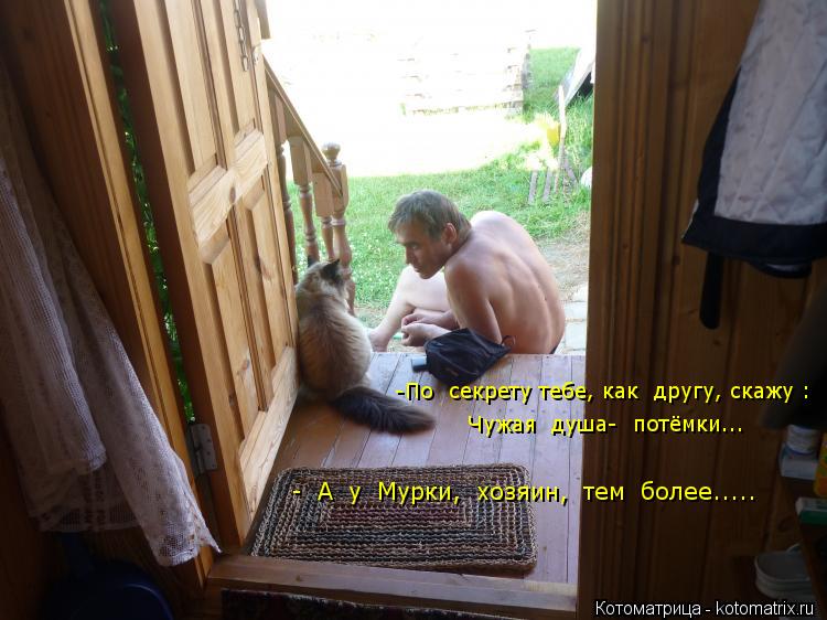 -По секрету тебе, как другу, скажу : Чужая душа- потёмки... - А у Мурки, хозяин, тем бол... Котоматрица: -По секрету тебе, как другу, скажу : Чужая душа- потёмки... - А у Мурки, хозяин, тем более.....