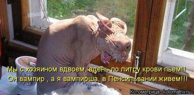 Мы с хозяином вдвоем, вдень по литру крови пьем!! Он вампир , а я вампирша, в Пенсильвании живем!!!... Котоматрица: Мы с хозяином вдвоем, вдень по литру крови пьем!! Он вампир , а я вампирша, в Пенсильвании живем!!!