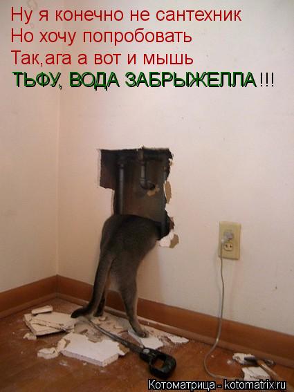Ну я конечно не сантехник Но хочу попробовать Так,ага а вот и мышь ТЬФУ, ВОДА ЗАБРЫЖЕЛЛА !!!... Котоматрица: Ну я конечно не сантехник Но хочу попробовать Так,ага а вот и мышь ТЬФУ, ВОДА ЗАБРЫЖЕЛЛА !!!