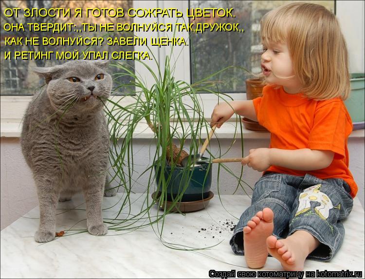 ОТ ЗЛОСТИ Я ГОТОВ СОЖРАТЬ ЦВЕТОК. ОНА ТВЕРДИТ:,,ТЫ НЕ ВОЛНУЙСЯ ТАК,ДРУЖОК,, КАК НЕ ВОЛНУЙСЯ? ЗАВЕЛИ Щ... Котоматрица: ОТ ЗЛОСТИ Я ГОТОВ СОЖРАТЬ ЦВЕТОК. ОНА ТВЕРДИТ:,,ТЫ НЕ ВОЛНУЙСЯ ТАК,ДРУЖОК,, КАК НЕ ВОЛНУЙСЯ? ЗАВЕЛИ ЩЕНКА. И РЕТИНГ МОЙ УПАЛ СЛЕГКА.