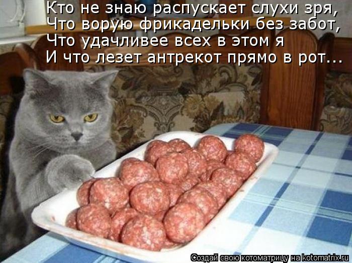 Кто не знаю распускает слухи зря, Что ворую фрикадельки без забот, Что удачливее всех в этом я И что ... Котоматрица: Кто не знаю распускает слухи зря, Что ворую фрикадельки без забот, Что удачливее всех в этом я И что лезет антрекот прямо в рот...