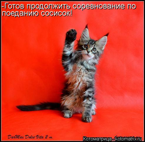 -Готов продолжить соревнование по поеданию сосисок!... Котоматрица: -Готов продолжить соревнование по поеданию сосисок!