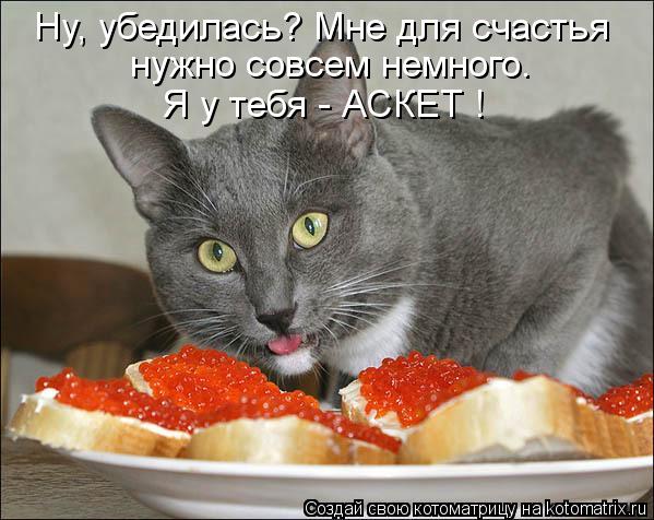 Ну, убедилась? Мне для счастья нужно совсем немного. Я у тебя - АСКЕТ !... Котоматрица: Ну, убедилась? Мне для счастья нужно совсем немного. Я у тебя - АСКЕТ !