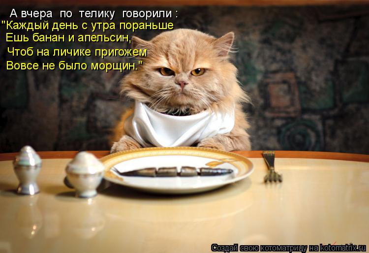 А вчера по телику говорили : "Каждый день с утра пораньше Ешь банан и апельсин, Чтоб на личике п... Котоматрица: А вчера по телику говорили : "Каждый день с утра пораньше Ешь банан и апельсин, Чтоб на личике пригожем Вовсе не было морщин."