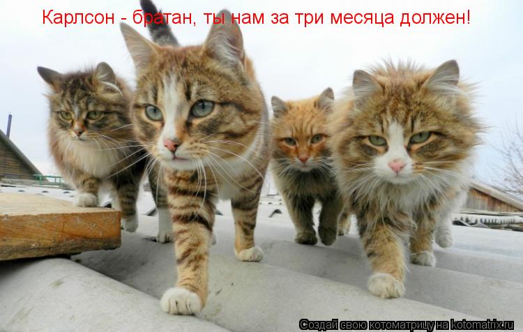 Карлсон - братан, ты нам за три месяца должен!... Котоматрица: Карлсон - братан, ты нам за три месяца должен!