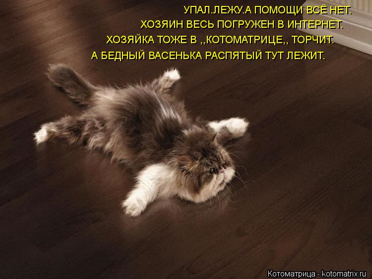 УПАЛ.ЛЕЖУ.А ПОМОЩИ ВСЁ НЕТ. ХОЗЯИН ВЕСЬ ПОГРУЖЕН В ИНТЕРНЕТ. ХОЗЯЙКА ТОЖЕ В ,,КОТОМАТРИЦЕ,, ТОРЧИТ. А... Котоматрица: УПАЛ.ЛЕЖУ.А ПОМОЩИ ВСЁ НЕТ. ХОЗЯИН ВЕСЬ ПОГРУЖЕН В ИНТЕРНЕТ. ХОЗЯЙКА ТОЖЕ В ,,КОТОМАТРИЦЕ,, ТОРЧИТ. А БЕДНЫЙ ВАСЕНЬКА РАСПЯТЫЙ ТУТ ЛЕЖИТ.