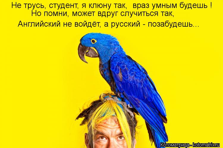 враз умным будешь ! Не трусь, студент, я клюну так, Но помни, может вдруг случиться так, Английский н... Котоматрица: враз умным будешь ! Не трусь, студент, я клюну так, Но помни, может вдруг случиться так, Английский не войдёт, а русский - позабудешь...