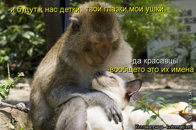 -и будут к нас детки : твои глазки,мои ушки -да красавцы -вообщето это их имена... Котоматрица: -и будут к нас детки : твои глазки,мои ушки -да красавцы -вообщето это их имена