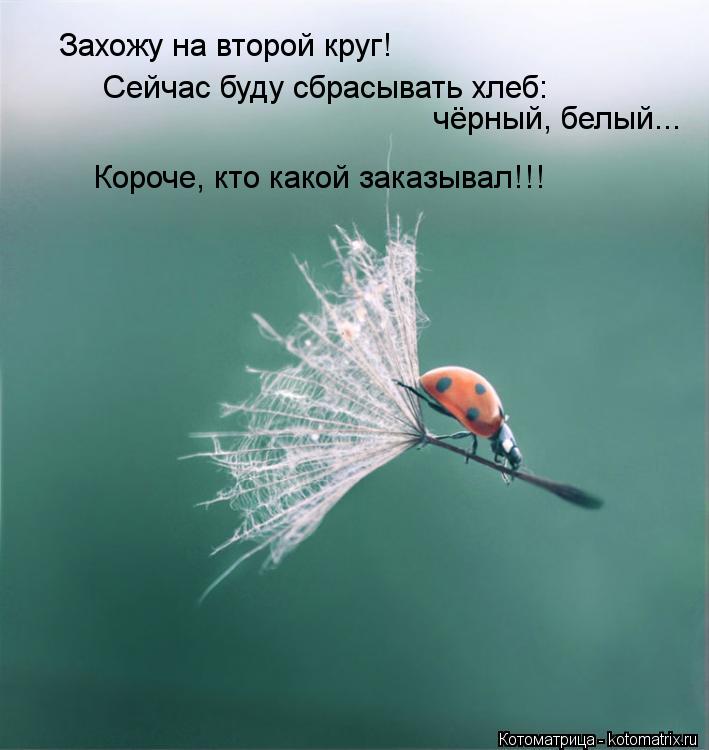 Захожу на второй круг! Сейчас буду сбрасывать хлеб: чёрный, белый... Короче, кто какой заказывал!!!... Котоматрица: Захожу на второй круг! Сейчас буду сбрасывать хлеб: чёрный, белый... Короче, кто какой заказывал!!!