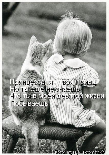 Принцесса, я - твой Принц, Но ты еще не знаешь, Что ты в моей девятой жизни Побываешь...... Котоматрица: Принцесса, я - твой Принц, Но ты еще не знаешь, Что ты в моей девятой жизни Побываешь...